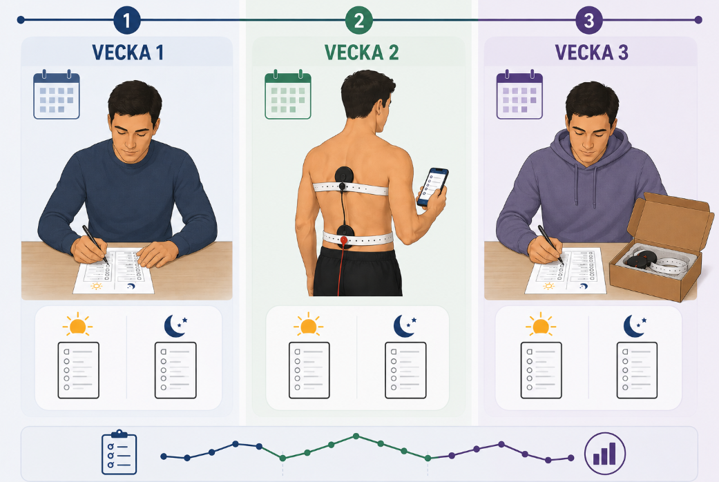 Översikt över studiens tre veckor: vecka 1 formulär, vecka 2 stimulering, vecka 3 uppföljning